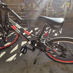 Guardian Branded Bicycle 20 Inch