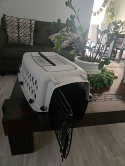 Small pet kennel