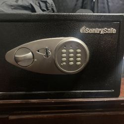 Sentry Safe Digital/key Entry