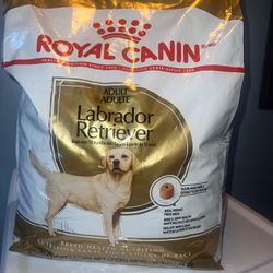 Royal Canin Adult Food