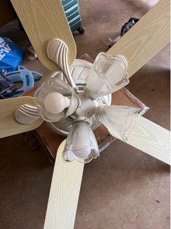 Ceiling fan with light