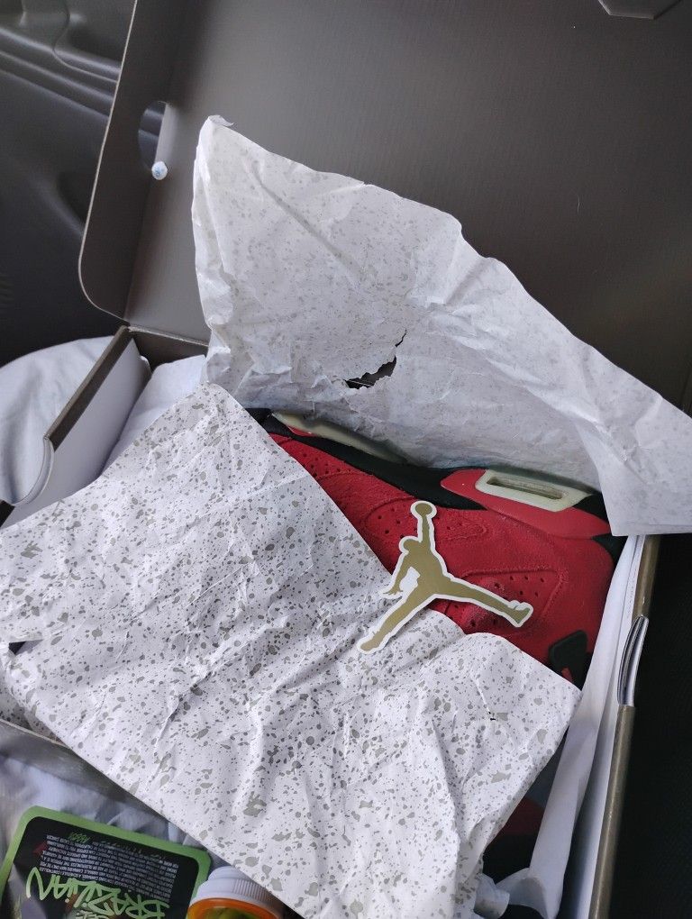 Air Jordan 6 "Toro Bravo"