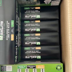 Light Bulbs 