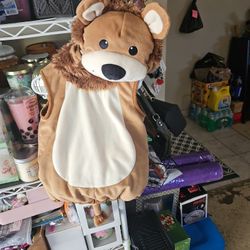 Dog size 9-12 months