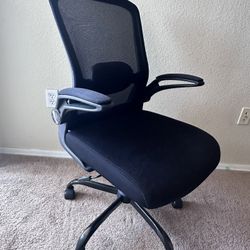 Ergonomic Office Chair with Lumbar Support