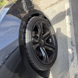 1LE rims