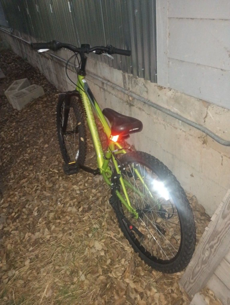 Nishiki Nike