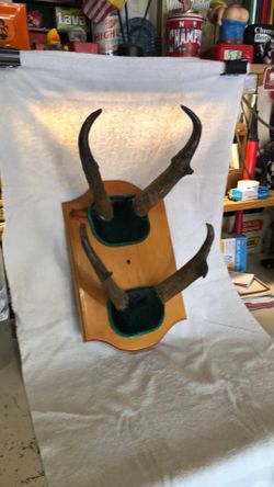 Hat Rack/ Coat Rack