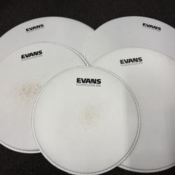 Evans G12 Coated Drum Heads 10/12/13/14/16