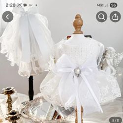Wedding Dress With Vail For Your Dog