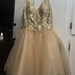 Gold Champagne Dress