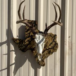 Texas Euro Mount Plaques 