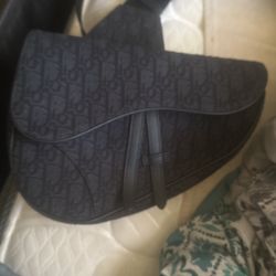 Dior Cross Body Saddle Bag