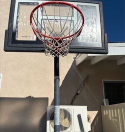 Lifetime Portable Basketball Hoop