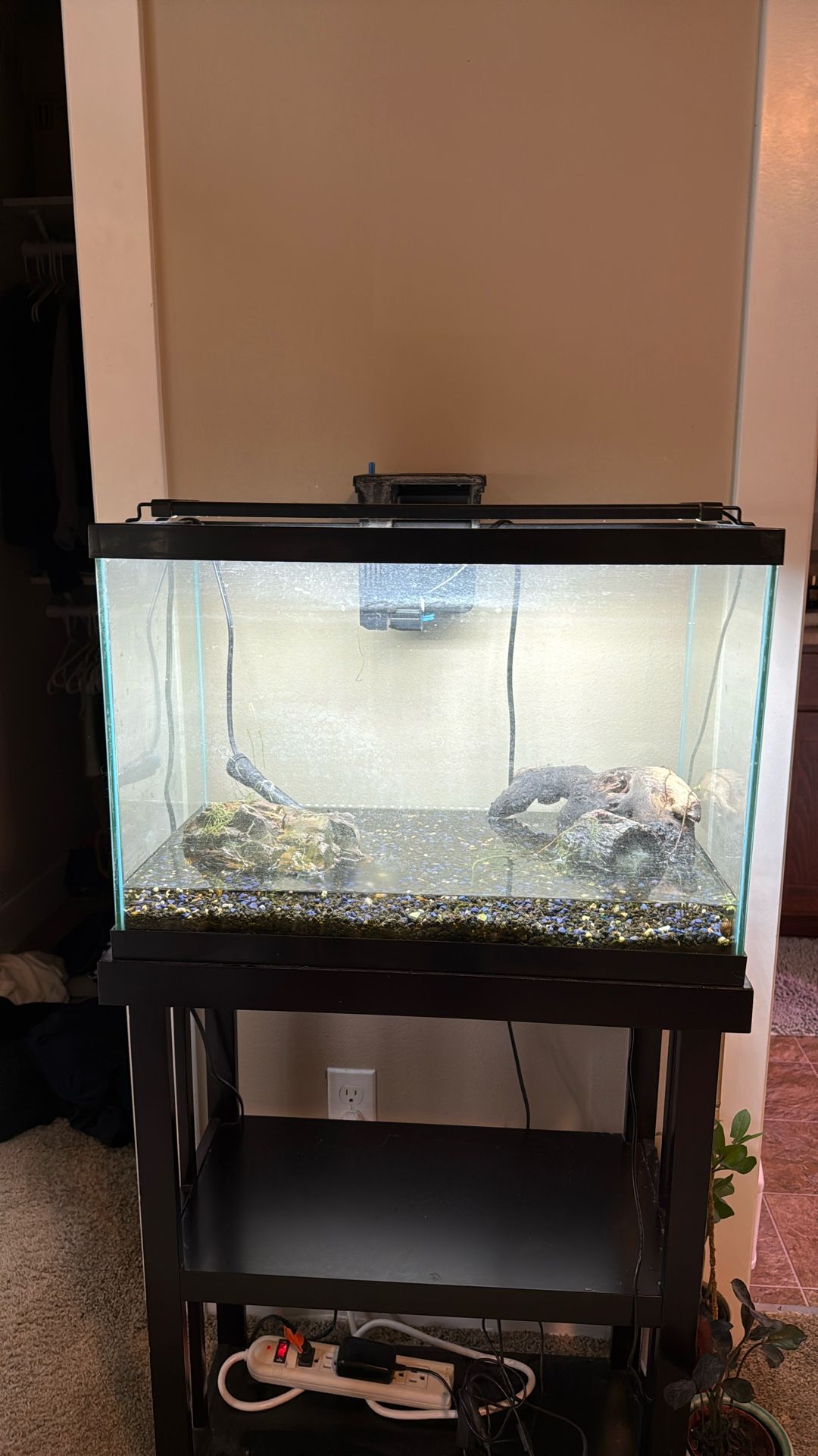 15-20 Gallon Fish Tank With Extras