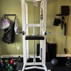 Life Fitness Dip/chin Assist Pro In White 