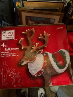 Reindeer