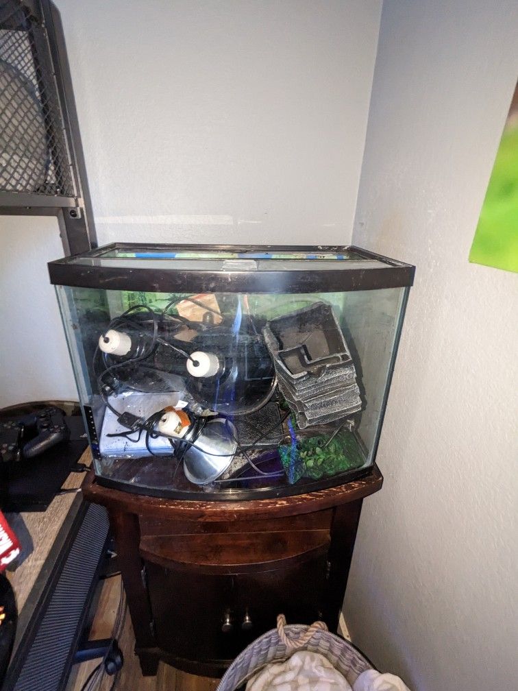 TANK, STAND, WATER FILTER, LIGHTS and BULBS, and so many DECORE