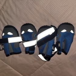 Size 6 Dog Shoes 