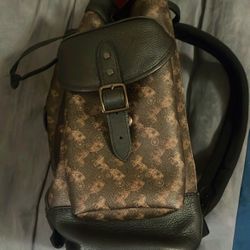 Coach Bag Backpack 