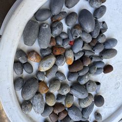 Fishing Sinkers, Sliding Egg And Bullet Weights  $15