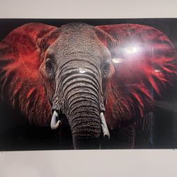 A Glass Elephant Portrait 