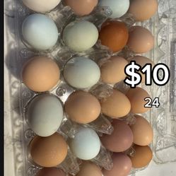 Fresh Eggs / Huevo Fresco