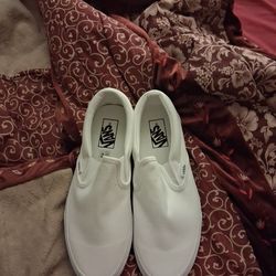 white Vans