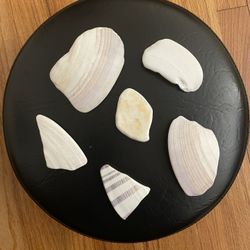 Shells