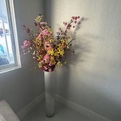 Decorative Plant 