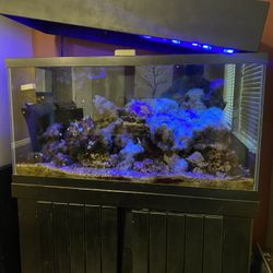 Aquarium As Is 