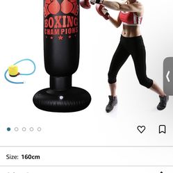 Inflatable Punching Bags 