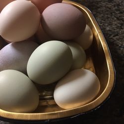 Huevos Fresh Eggs