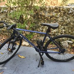 Genesis Road Bike
