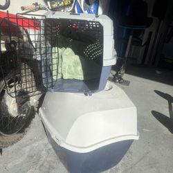 Cat Littler And Crate 