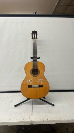 Classical Acoustic Guitar with Spider Decals