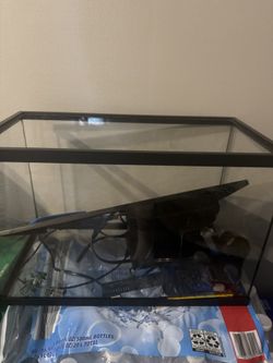 Fish Tank