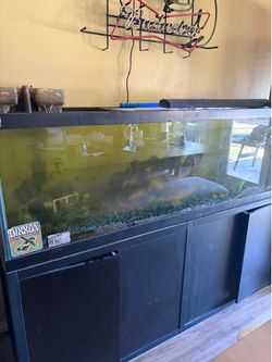 Fish tank
