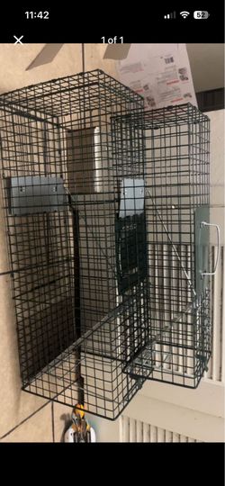 Catch and release traps