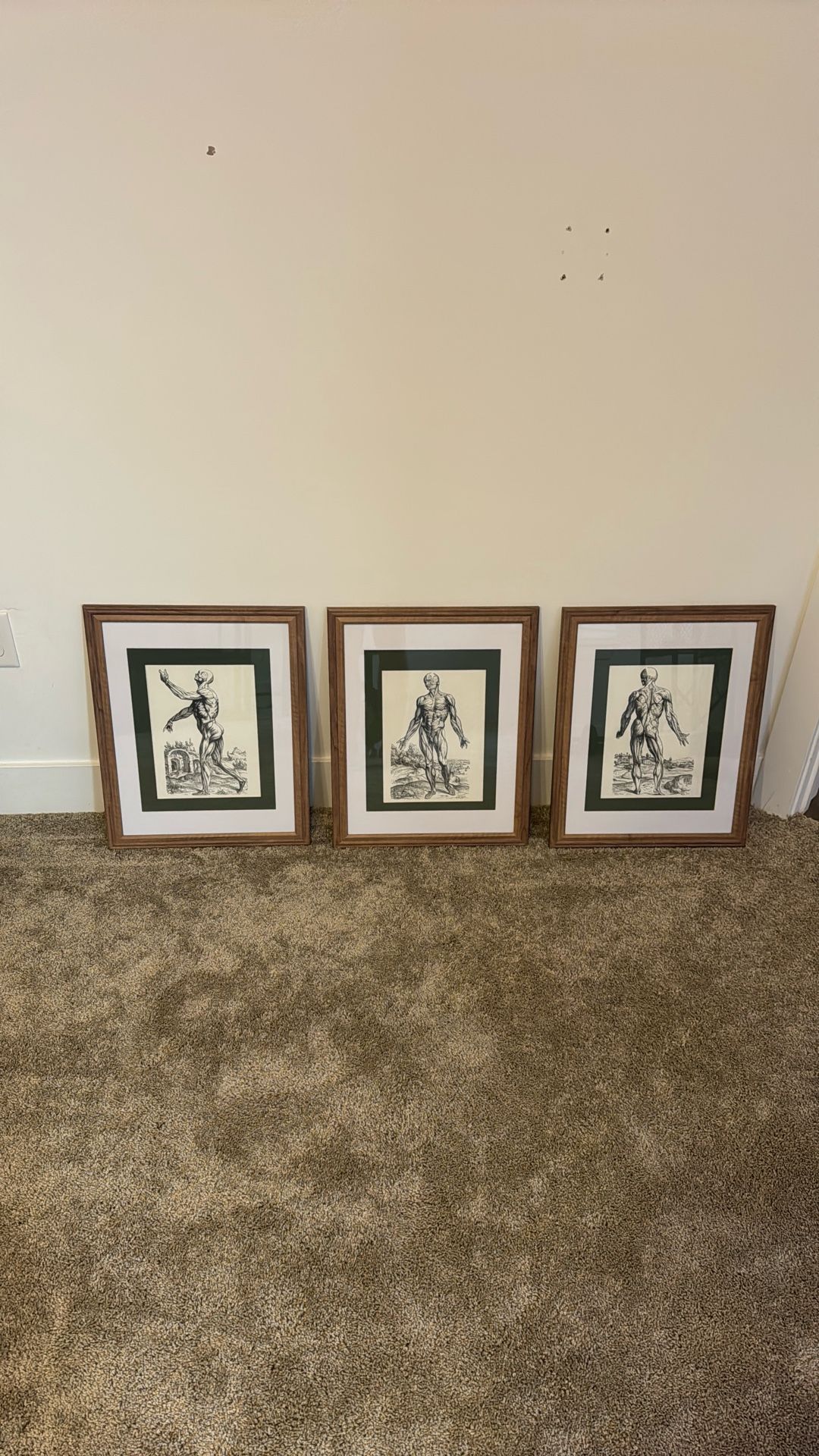 Framed Vintage Medical Prints