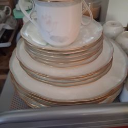 Noritake Garden Empress Bone China