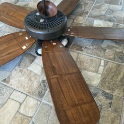Fan With Light