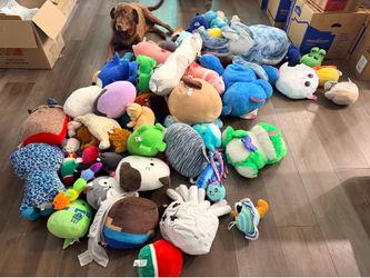 Dozens of stuffed animals