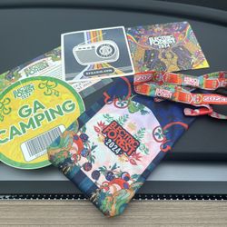 Electric Forest Wristbands + Car Pass