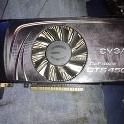 Evega GeForce GTS 450