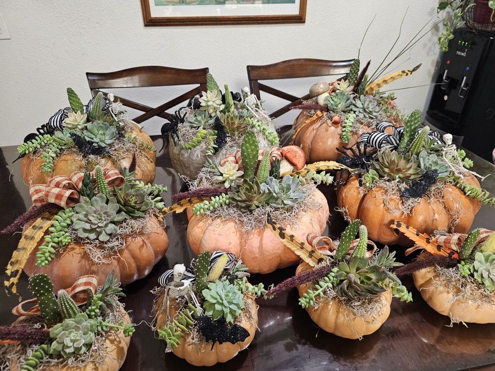 Succulent Pumpkins! 