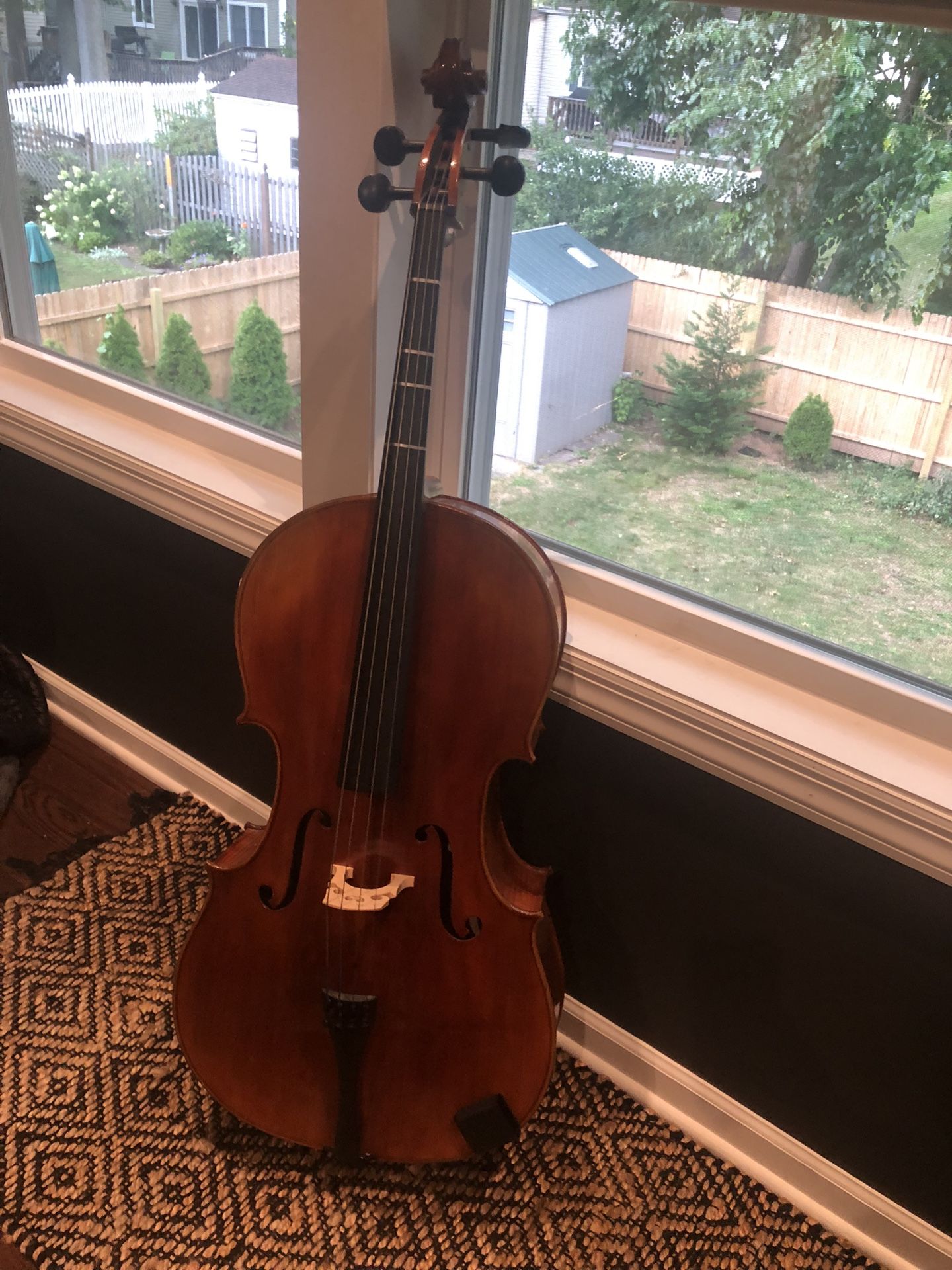 Cello 4/4