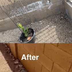 Free estimates for J&J Desert Coatings LLC residential and commercial painting services