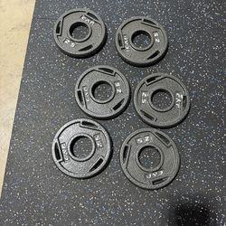 2.5 Lb Olympic Weight Plates (6)