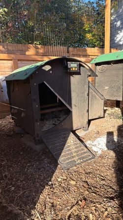 Nestera Medium Chicken Coop House